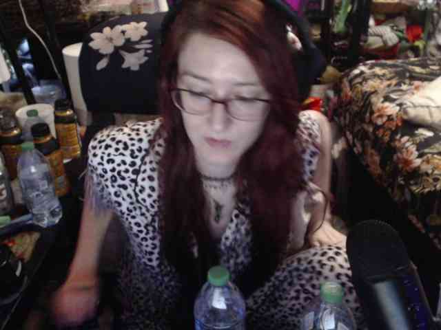 pussyxpaladin webcam