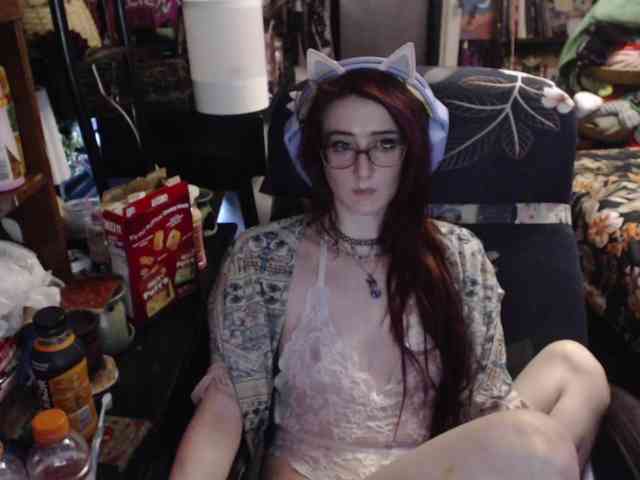 pussyxpaladin webcam