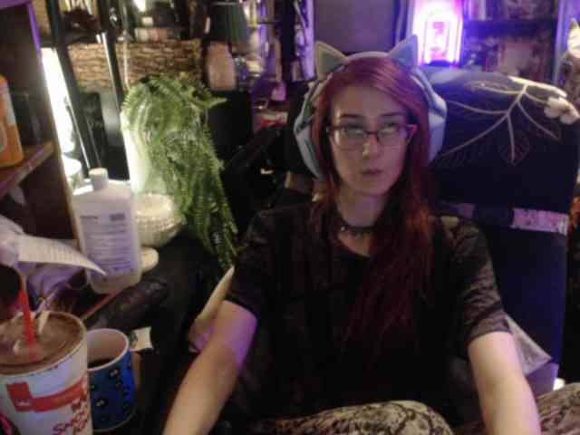pussyxpaladin webcam