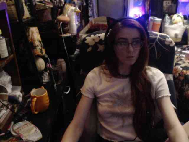 pussyxpaladin webcam