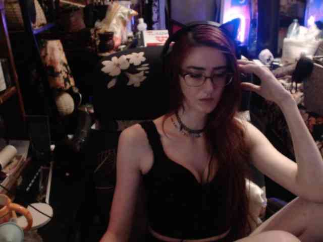 pussyxpaladin