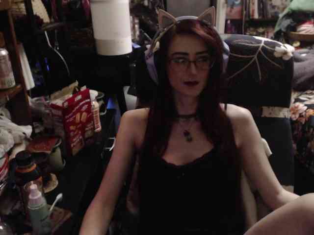 pussyxpaladin webcam