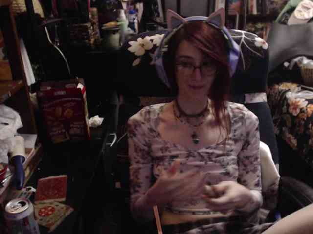 pussyxpaladin webcam