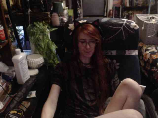 pussyxpaladin webcam