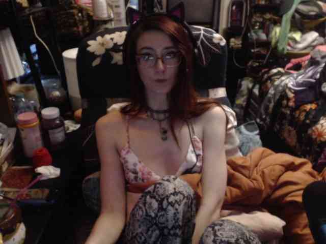 pussyxpaladin webcam