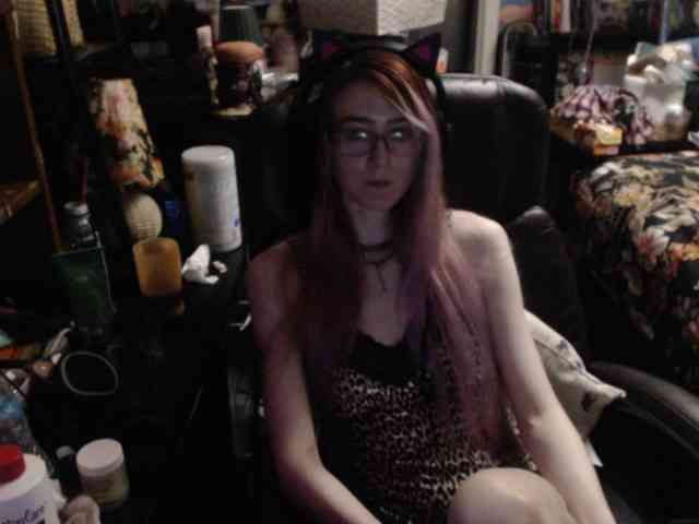 pussyxpaladin webcam