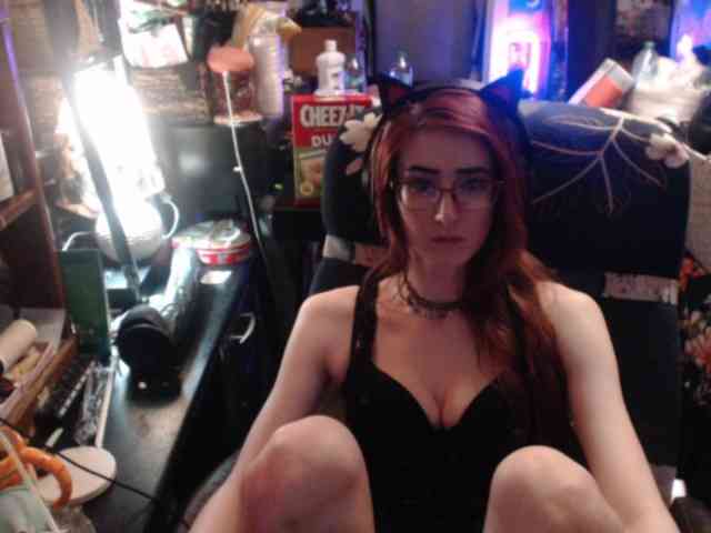 pussyxpaladin