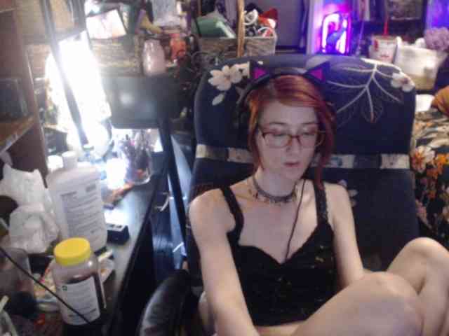 pussyxpaladin