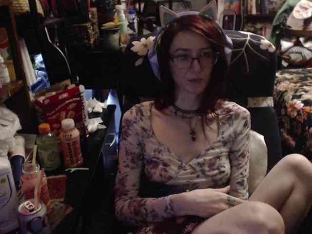 pussyxpaladin webcam