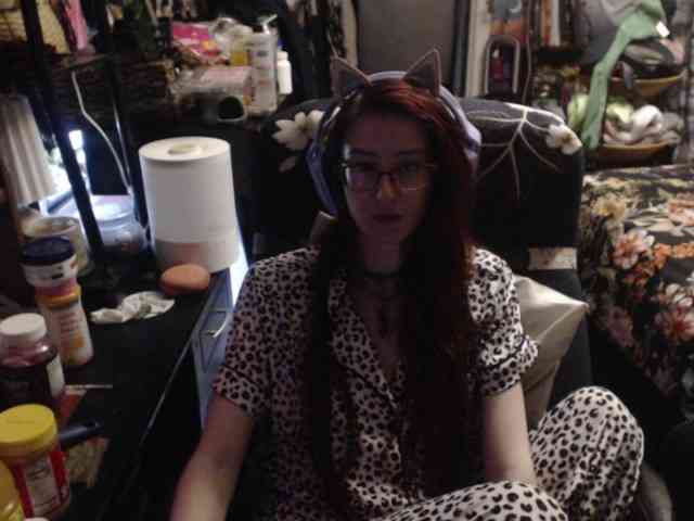 pussyxpaladin webcam