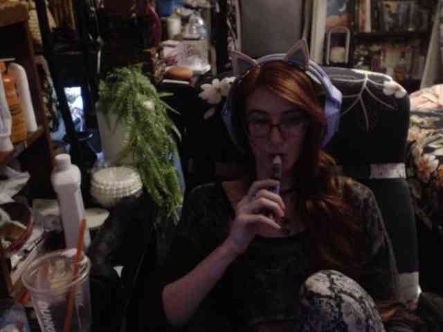 pussyxpaladin webcam