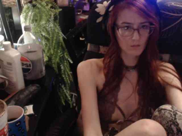 pussyxpaladin