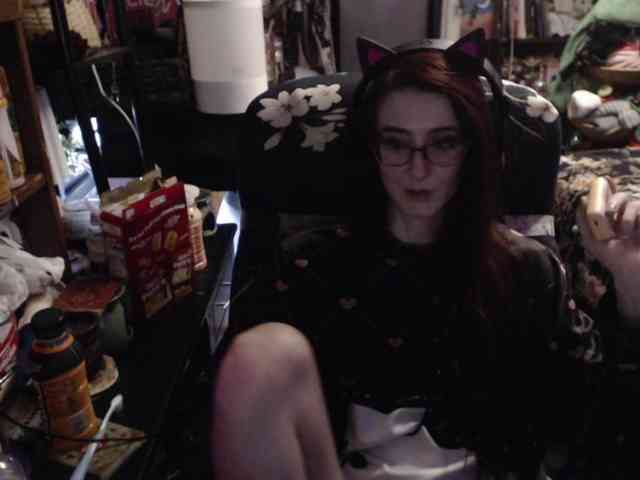pussyxpaladin webcam