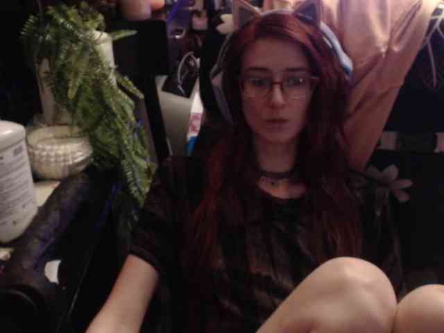 pussyxpaladin webcam