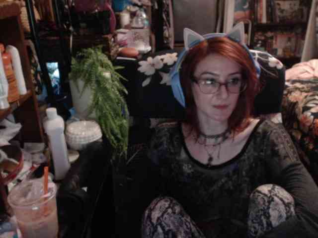 pussyxpaladin webcam