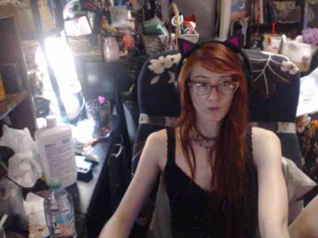 pussyxpaladin webcam
