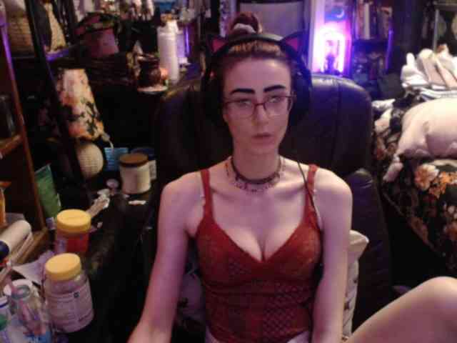 pussyxpaladin