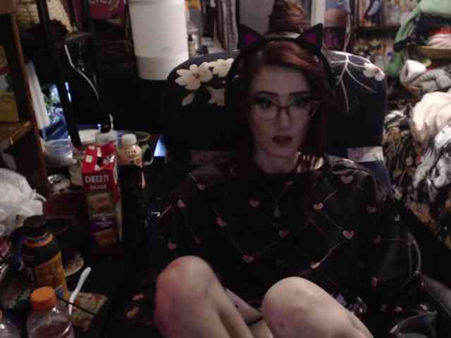 pussyxpaladin webcam