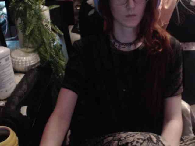 pussyxpaladin webcam