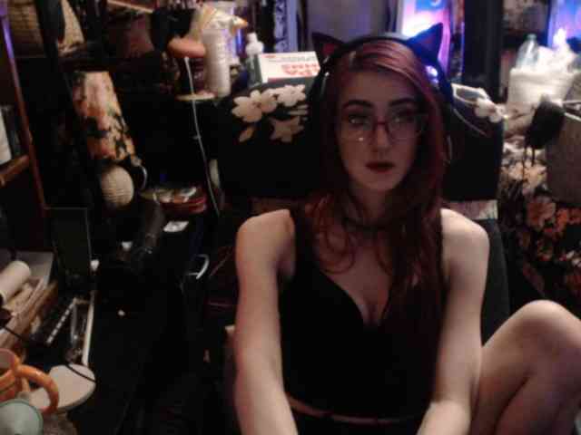 pussyxpaladin