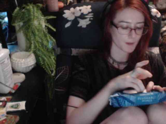 pussyxpaladin webcam