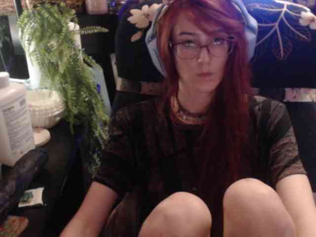 pussyxpaladin