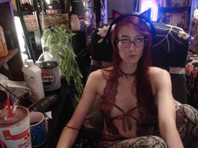 pussyxpaladin webcam