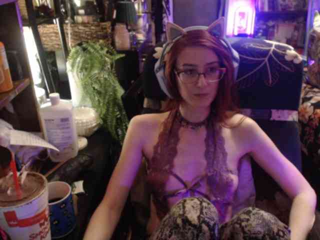 pussyxpaladin webcam