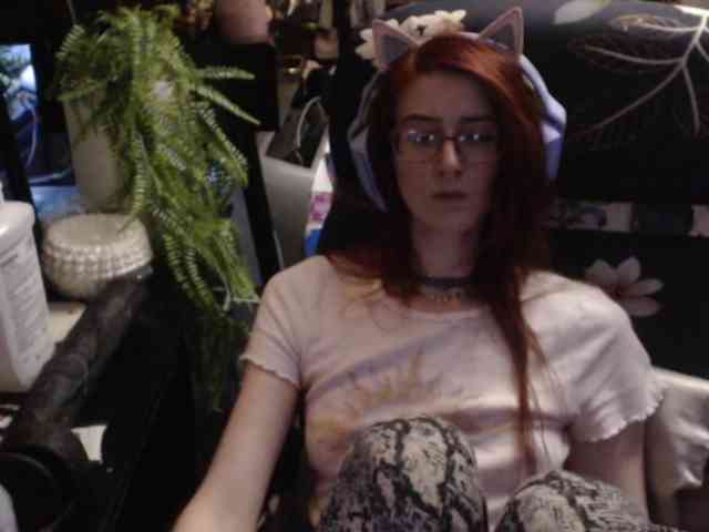 pussyxpaladin