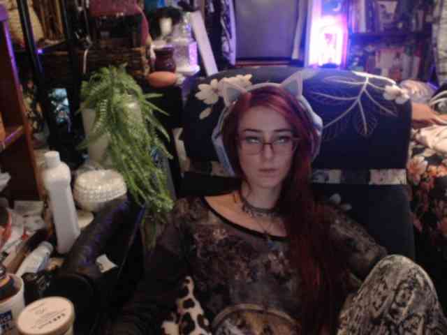 pussyxpaladin