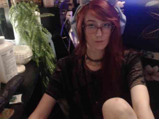 pussyxpaladin webcam