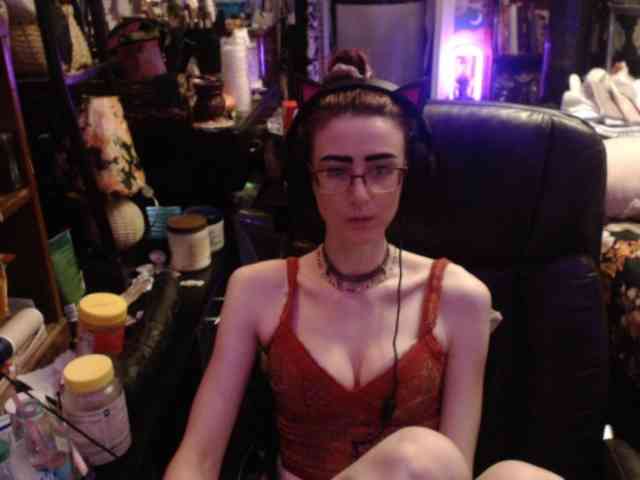 pussyxpaladin
