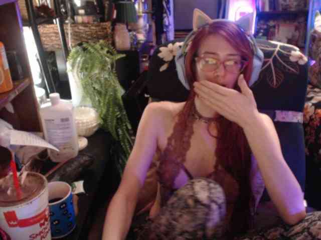 pussyxpaladin webcam