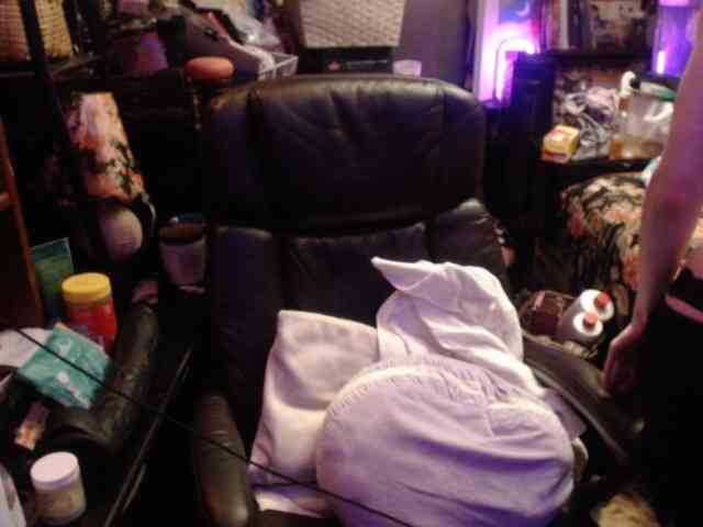 pussyxpaladin webcam