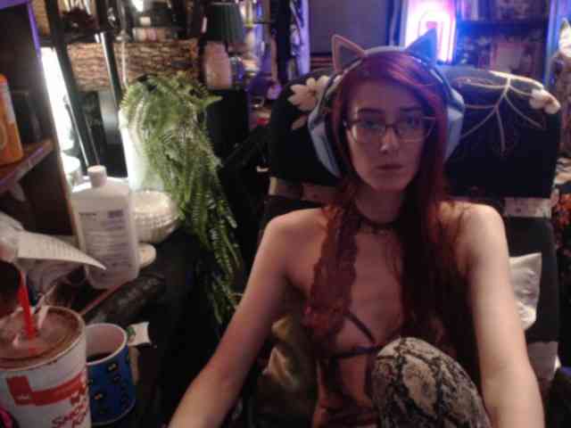 pussyxpaladin webcam