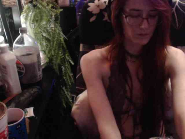 pussyxpaladin webcam