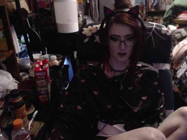 pussyxpaladin webcam