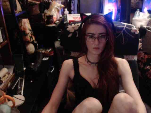 pussyxpaladin
