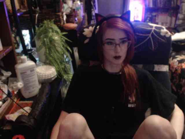 pussyxpaladin webcam
