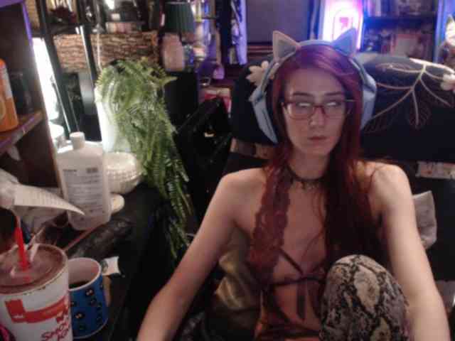 pussyxpaladin webcam