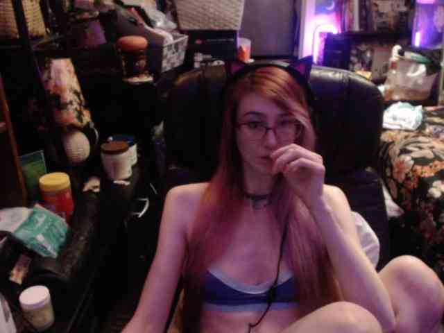 pussyxpaladin webcam