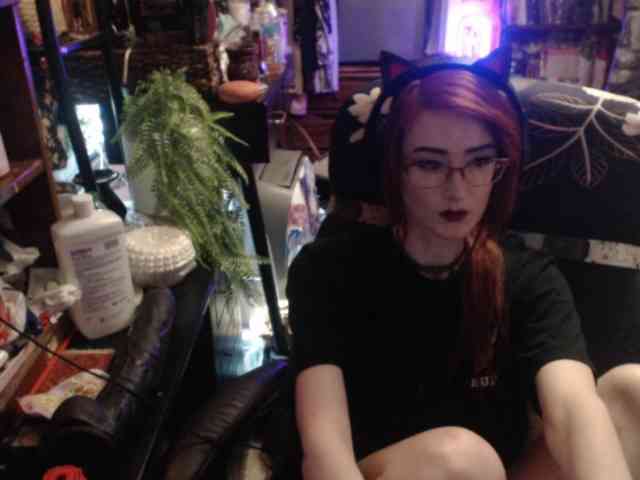 pussyxpaladin