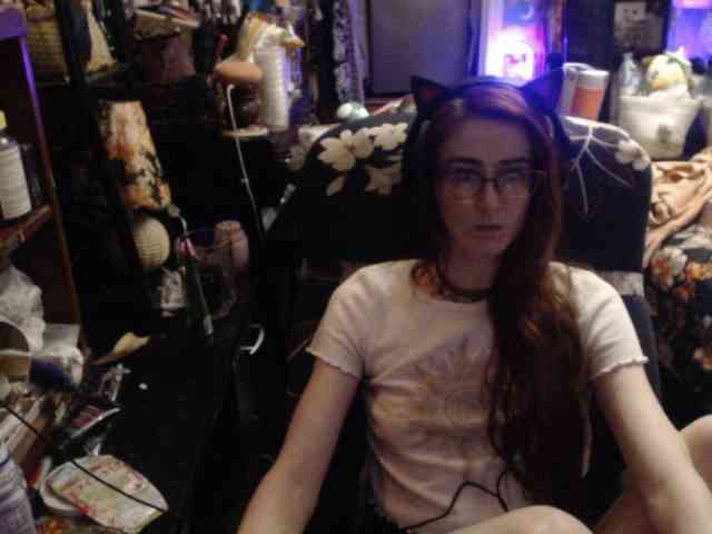 pussyxpaladin