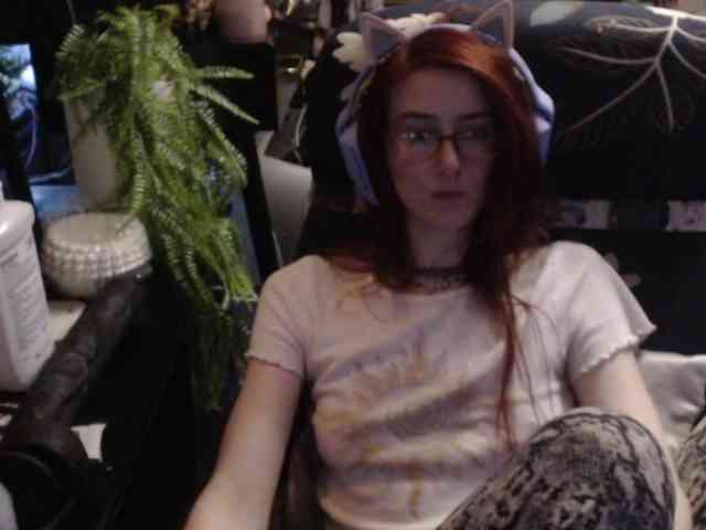pussyxpaladin webcam