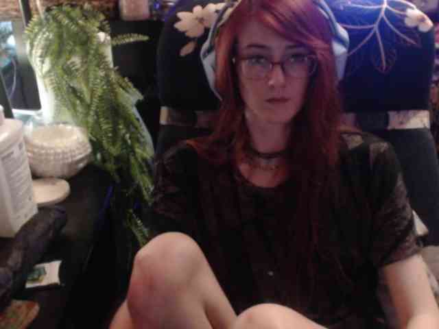 pussyxpaladin webcam