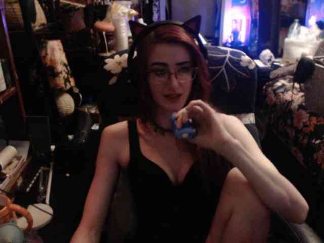 pussyxpaladin webcam