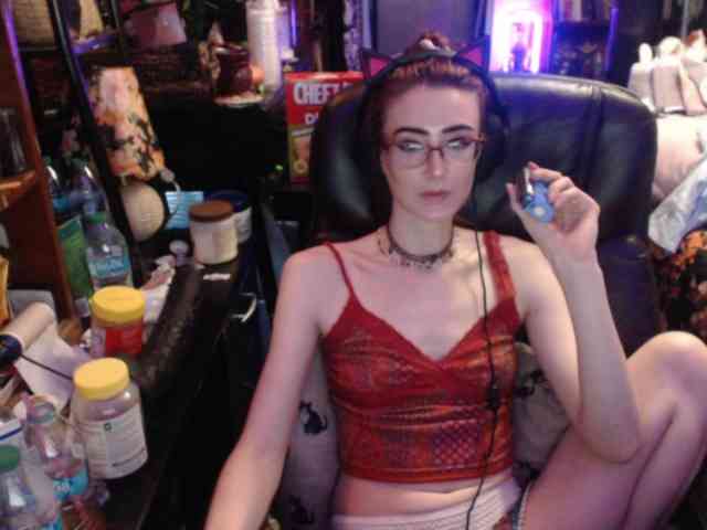 pussyxpaladin