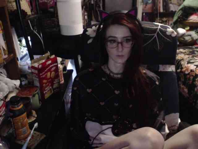 pussyxpaladin webcam