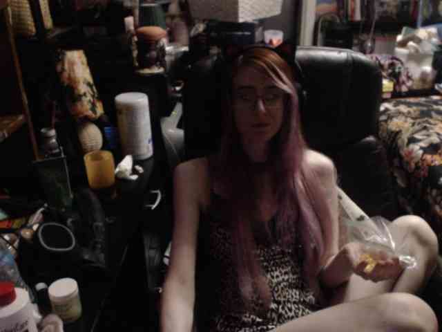pussyxpaladin webcam