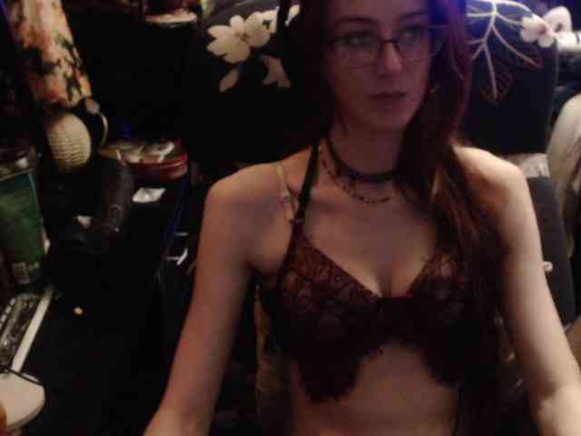 pussyxpaladin webcam